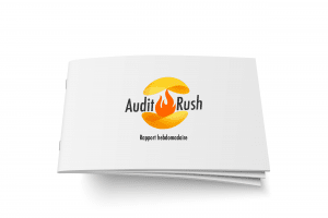 Audit Rush