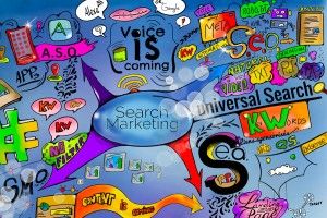 Search marketing et stratégie digitale