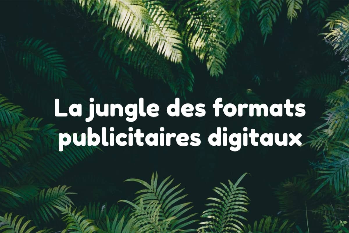 La jungle des formats display branding